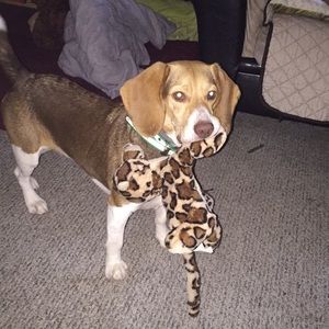 Meet your Posher, Amy